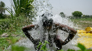 Récord de calor en Nueva Delhi, pero falta descartar una posible falla de medición