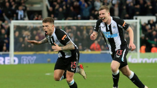 Newcastle rock Everton to climb out of relegation zone