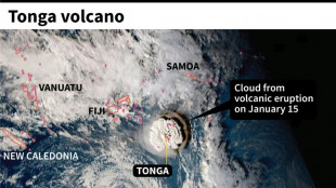 Volcano damage to Tonga undersea cable worse than expected
