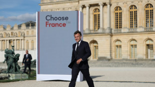 Macron announces 93 bn euros in 'Choose France' foreign investments
