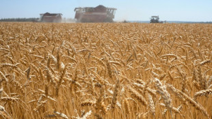 Wheat and corn prices ride the Ukrainian rollercoaster