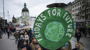 Hundreds rally in Stockholm for climate action