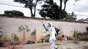 Brazil sees dengue cases quadruple ahead of vaccine drive
