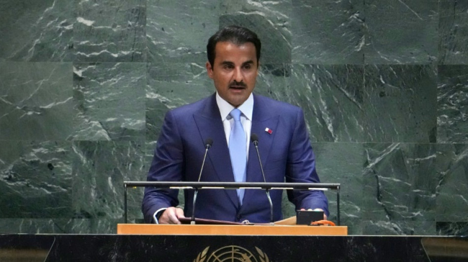 Catar dice en la ONU que continuar&aacute; sus esfuerzos para lograr una tregua en Gaza