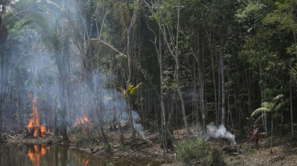 Fran&ccedil;a quer restri&ccedil;&atilde;o a produtos de &aacute;reas desmatadas no acordo UE-Mercosul