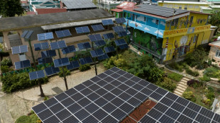 Puerto Rico's community-owned solar power: alternative to frequent blackouts