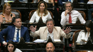 Reformas de Milei sofrem rev&eacute;s no Congresso por falta de apoio de aliados