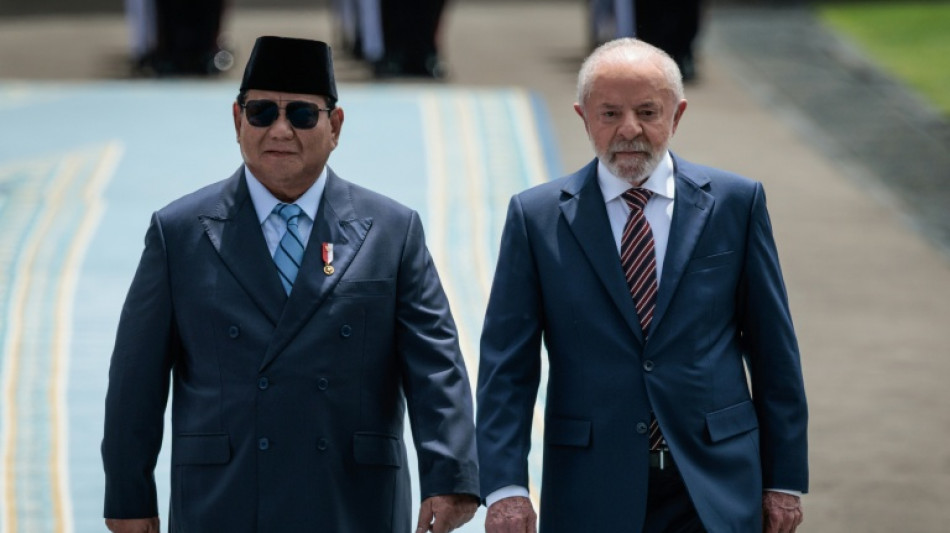 Indonesia, Brazil strike cooperation deals as leaders meet