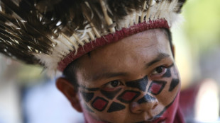 Peru court sentences killers of Indigenous land defenders