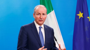 Ireland to recognise Palestinian statehood 'this month': minister