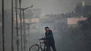 Heatwaves and wildfires to worsen air pollution: UN