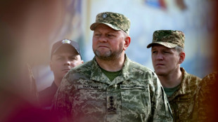 Ex-Armeechef Saluschnyj zum neuen ukrainischen Botschafter in Großbritannien ernannt