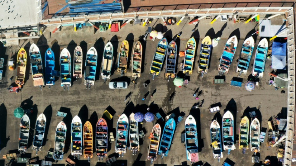 Chile fracasa en su intento de recuperar la popular merluza