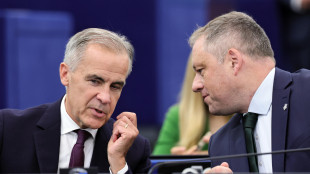Carney, 'Canada e Ue partner naturali, focus su partenariato pi&ugrave; stretto'