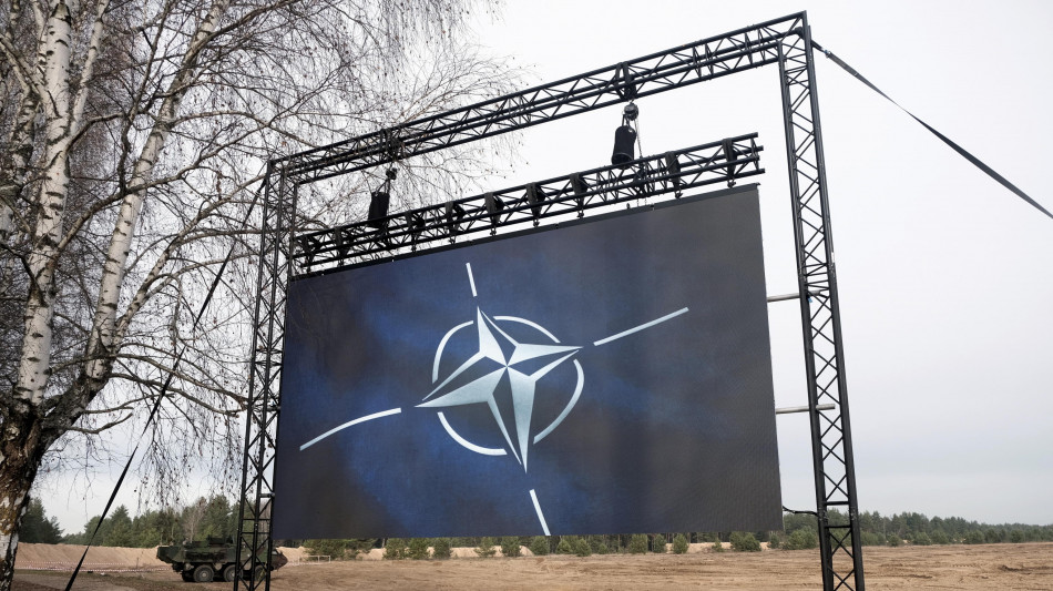 Nato, 'in contatto con gli Usa per capire i dettagli sulla Germania'
