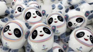 Olympic mascot cakes land Chinese bakers in trouble