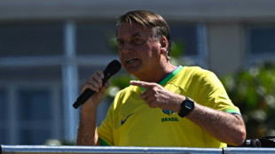 Brazil judge drops case on Bolsonaro stay in Hungarian embassy