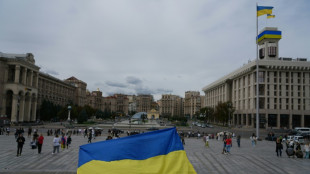 Zelensky calls for Putin talks as peace efforts stall