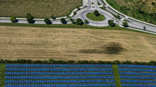Regierung will mehr Photovoltaik-Anlagen auf Ackerfl&auml;chen 