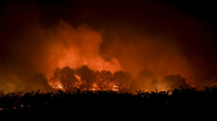 Portugal struggles to control huge blaze in natural park