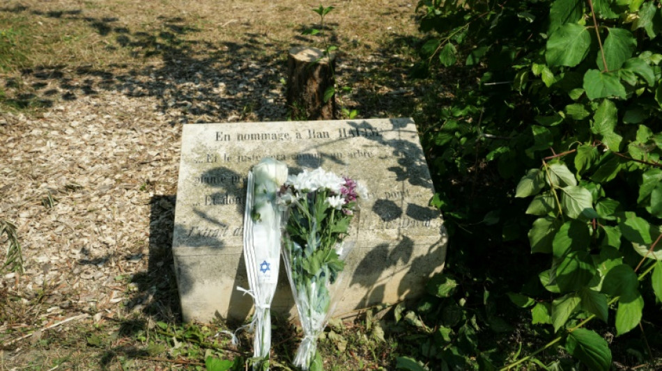 Macron vows to punish antisemitic 'hatred' after memorial tree cut down