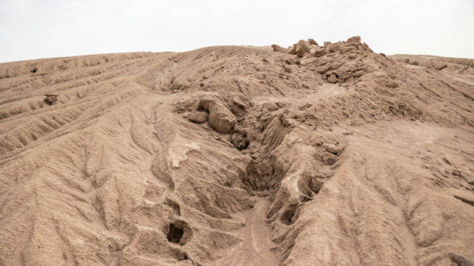 Russland strebt Abbau von Uran im Niger an