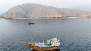 EEUU e Ir&aacute;n retoman las hostilidades tras ataque contra barco en estrecho de Ormuz