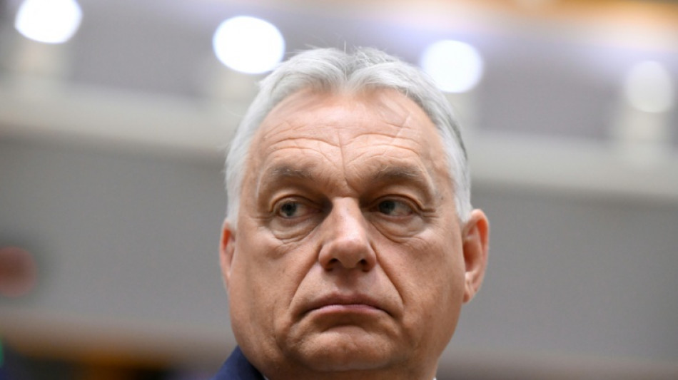 Hongrie : une vid&eacute;o d'un "palais" de la famille Orban atteint 700.000 vues