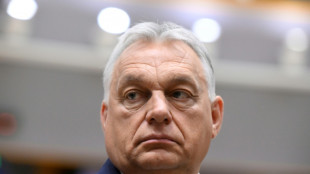 Hongrie : une vid&eacute;o d'un "palais" de la famille Orban atteint 700.000 vues