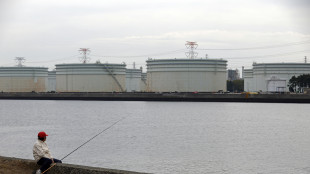 Il prezzo del petrolio vola, +5% a 117 dollari