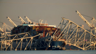Impact of Baltimore port closure on global supply chains