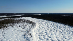 En Sibérie, le dégel du pergélisol constelle le paysage d'intrigantes bosses