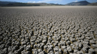 Climate-boosted drought in western US worst in 1,200 years