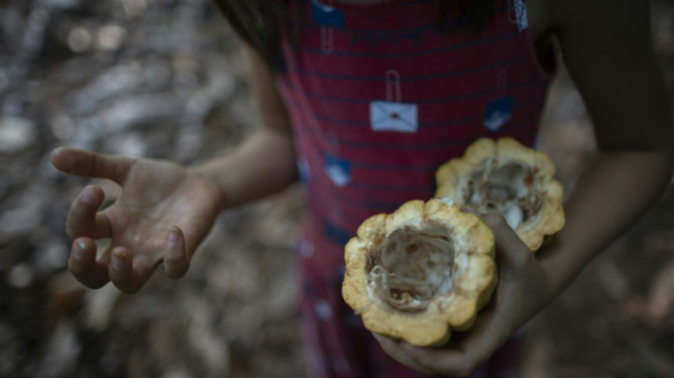 Nestl&eacute; lanza un plan de lucha contra el trabajo infantil en el cacao