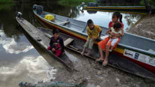 Ind&iacute;genas denunciam na ONU projeto de lei sobre explora&ccedil;&atilde;o amaz&ocirc;nica no Peru