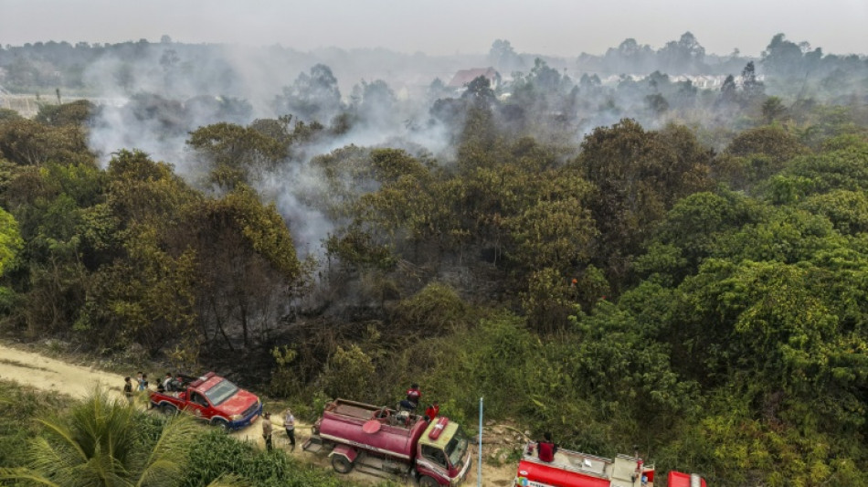 'Truly scared': Blazes outpace firefighters in Indonesian Borneo