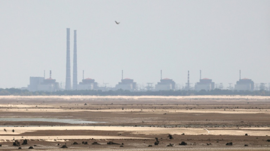 El OIEA califica de "inaceptable" la muerte de un ingeniero de una central nuclear de Ucrania
