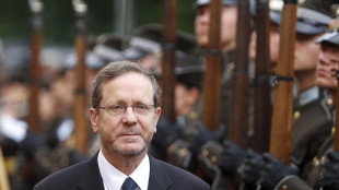 Herzog in piazza con famiglie ostaggi, 'li riporteremo a casa'