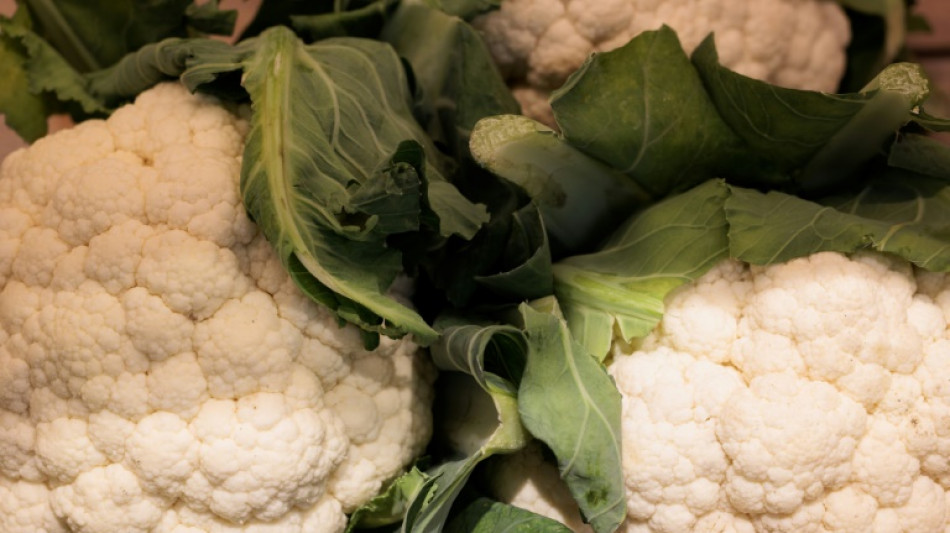 Studie: Viele Superm&auml;rkte reduzierten Lebensmittelabf&auml;lle 2023 deutlich