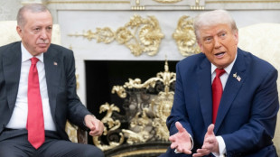 Trump hints at jets for Erdogan if Turkey quits Russian oil