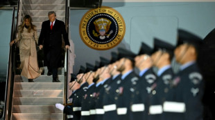 Trump to get royal treatment on UK state visit