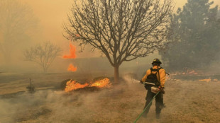 Texas battling largest wildfire in its history
