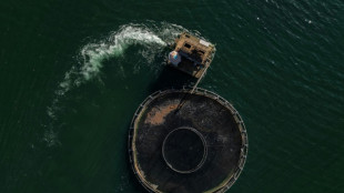 USA stimmen Antrag Brasiliens auf WTO-Konsultationen wegen hohen US-Z&ouml;llen zu