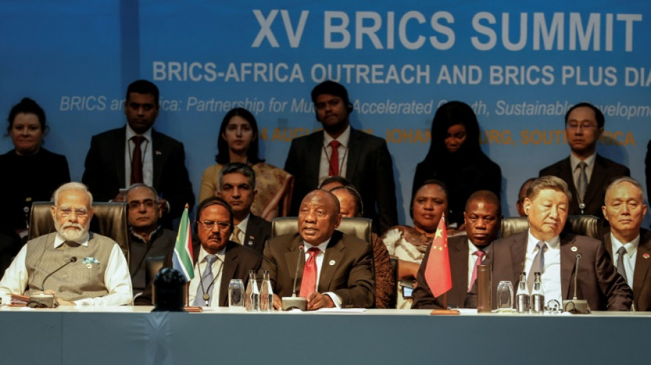 Brics: six nouveaux pays int&egrave;grent le bloc des pays &eacute;mergents