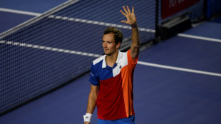 Dead fish, small cats and world number one: Three things on Daniil Medvedev