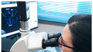 In un catalogo i geni che controllano fertilit&agrave; e longevit&agrave;