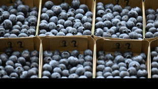 Ifo erwartet "ganz langsamen" R&uuml;ckgang der Inflationsrate  
