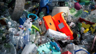 A Gen&egrave;ve, la plan&egrave;te au chevet de la pollution plastique