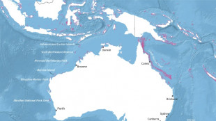 'Shocking' mass bleaching drains life from Australian reef