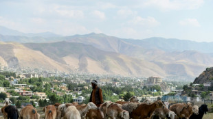 Dobrindt will direkt mit Taliban &uuml;ber Abschiebungen verhandeln - SPD kritisch
